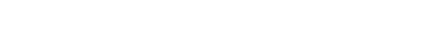 logo nankang